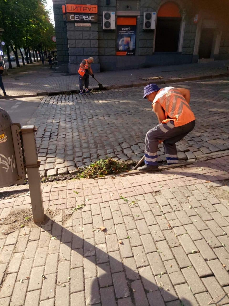 Поваленные деревья и оборванные провода: как коммунальщики Днепра ликвидируют последствия непогоды 2