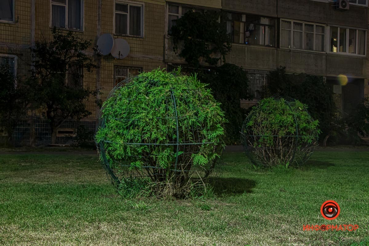 Фото: Руслана Левченко