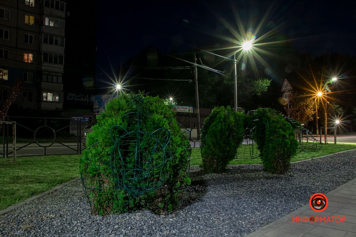 Целый зоопарк