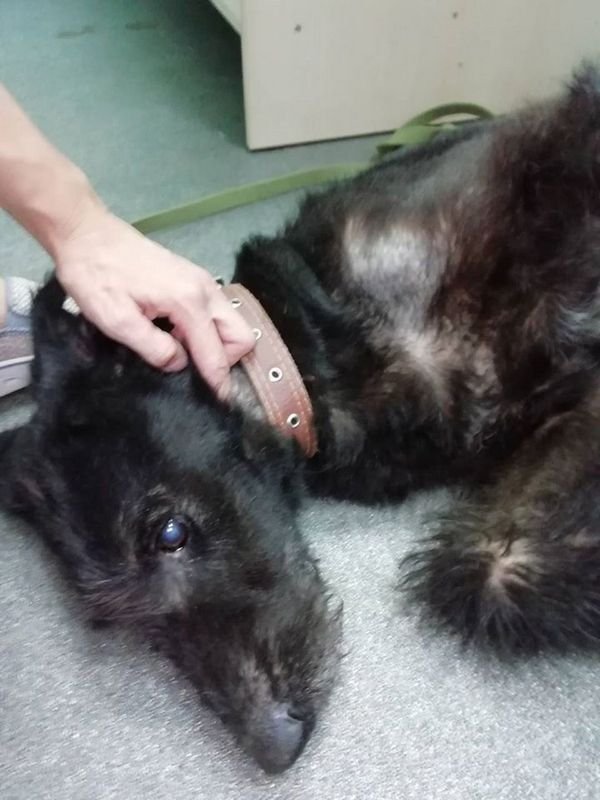 Послушная и терпеливая девочка Послушная и терпеливая девочка