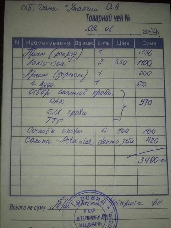 Приют в долгах, лечить не за что Приют в долгах, лечить не за что