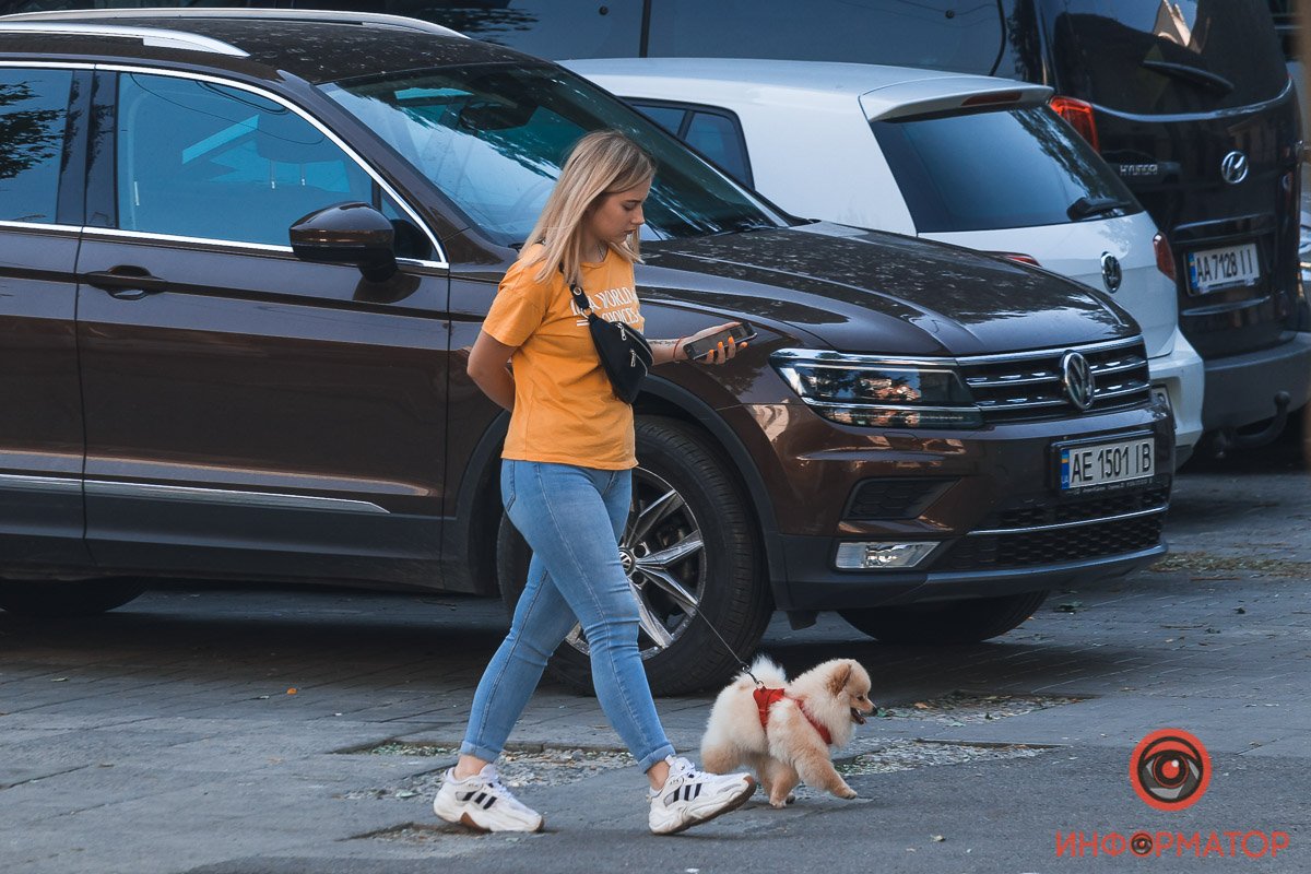 Плюшевая собака