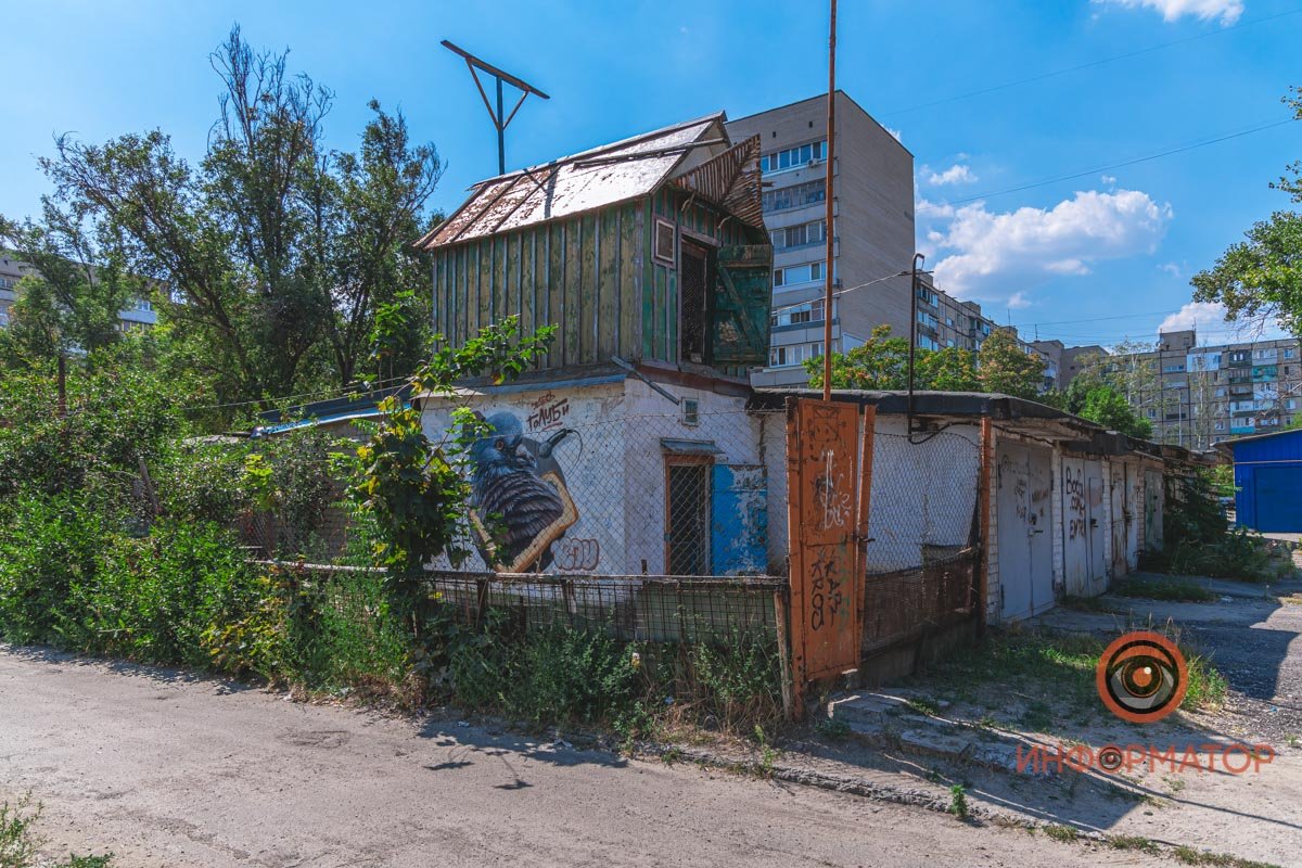 Самый четкий птенчик на Победе спрятался за ТЦ Kodak