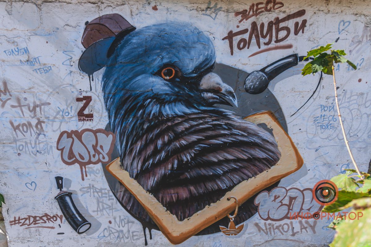 Здесь голуби. И Рой тоже здесь