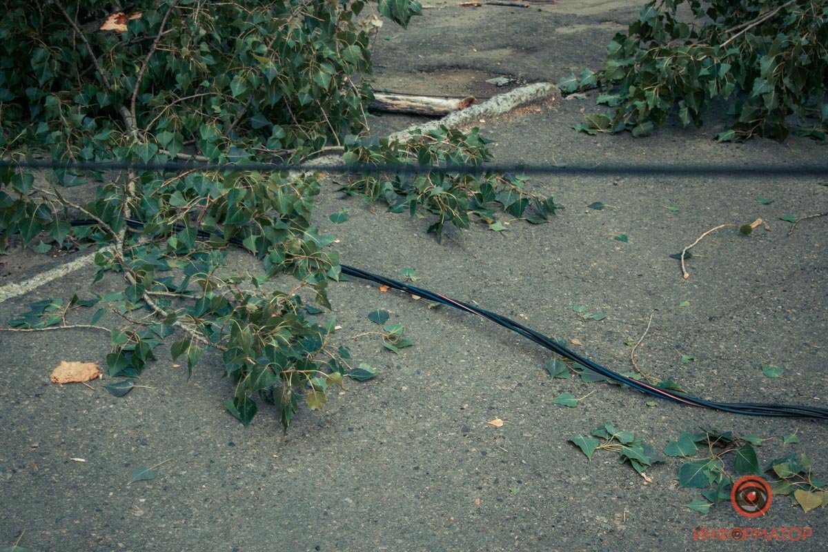 В Днепре на Гоголя дерево упало на дорогу: проезд перекрыт 3