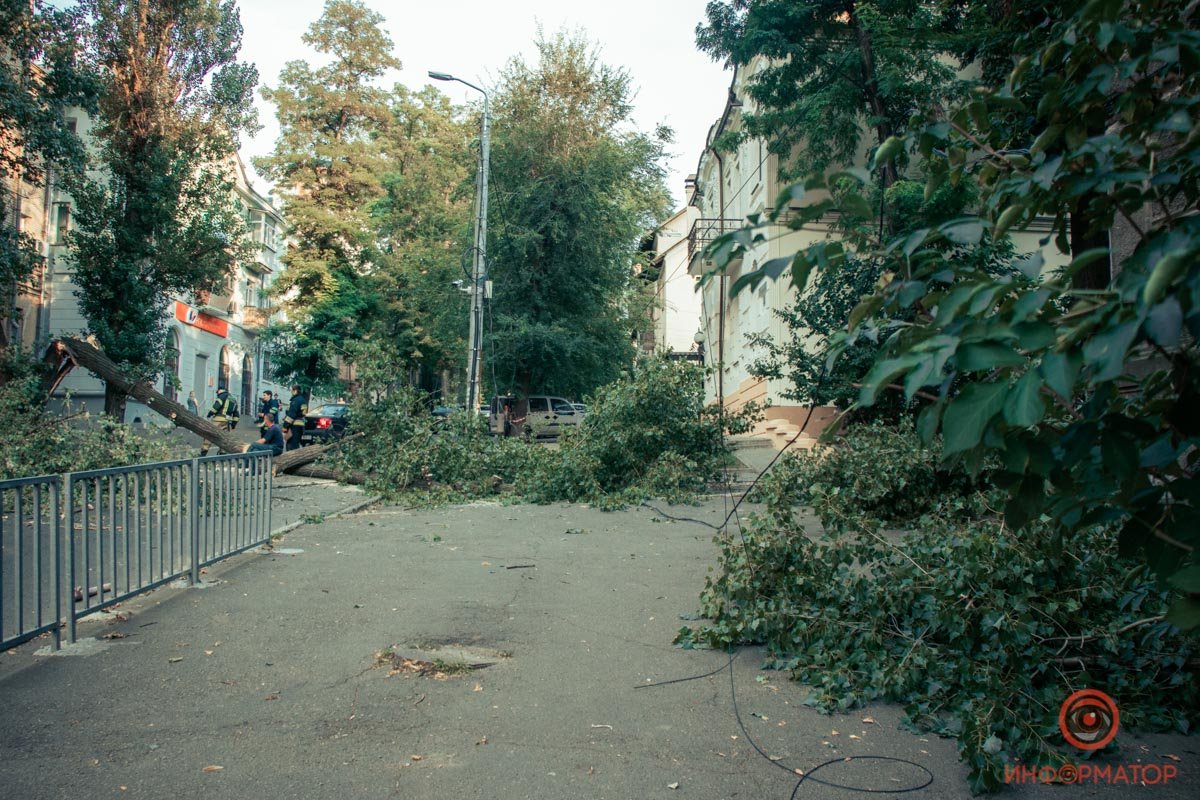 В Днепре на Гоголя дерево упало на дорогу: проезд перекрыт 4