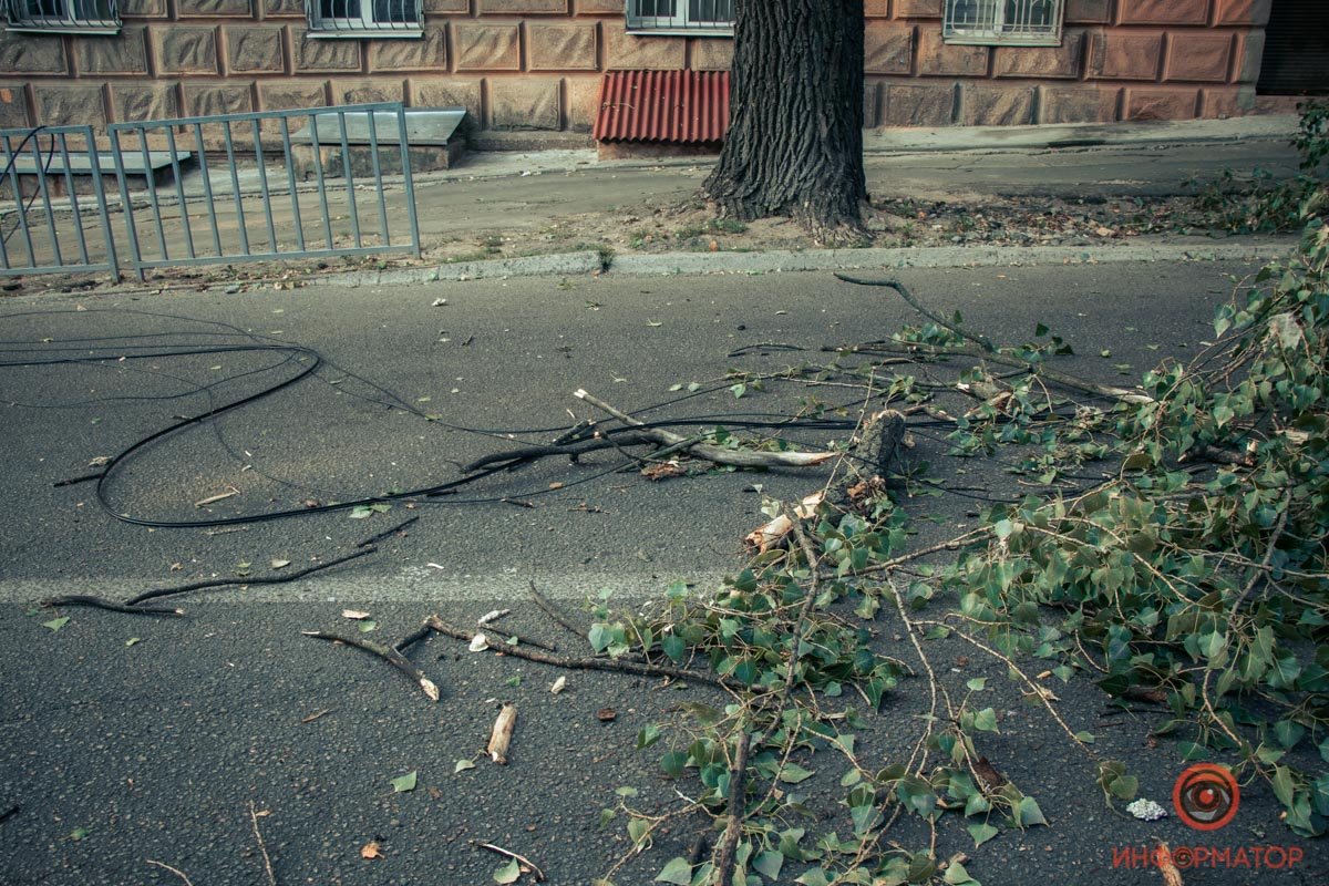 В Днепре на Гоголя дерево упало на дорогу: проезд перекрыт 5