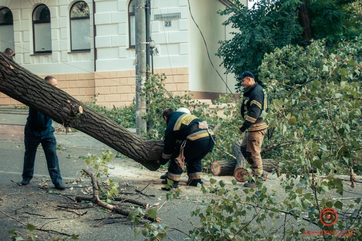 В Днепре на Гоголя дерево упало на дорогу: проезд перекрыт 6