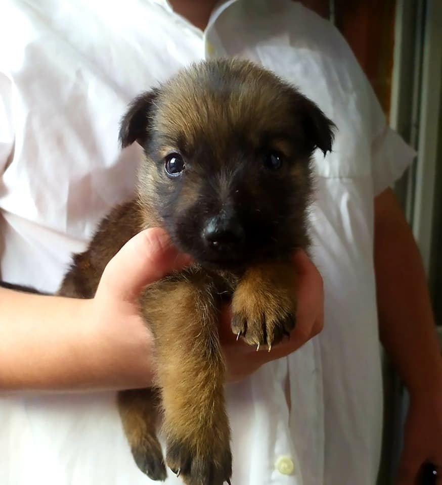 Комочек счастья Комочек счастья