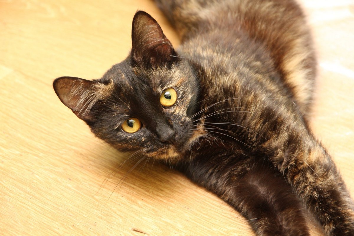 Кроха нуждается в вашей любви и защите Кроха нуждается в вашей любви и защите