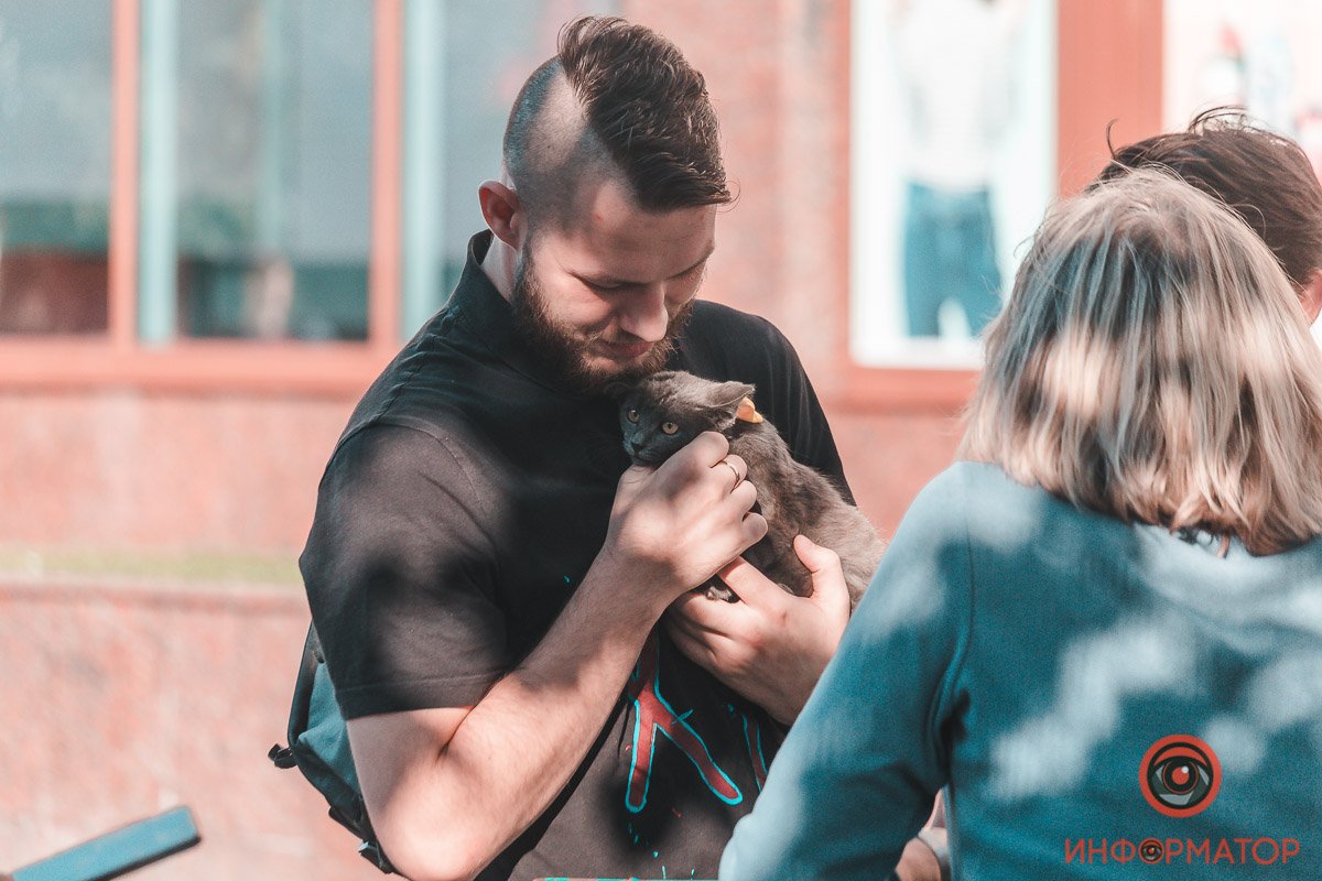 Милее этого вы сегодня уже ничего не увидите Милее этого вы сегодня уже ничего не увидите