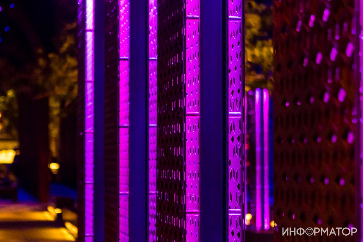 Сегодня все фиолетовое Сегодня все фиолетовое