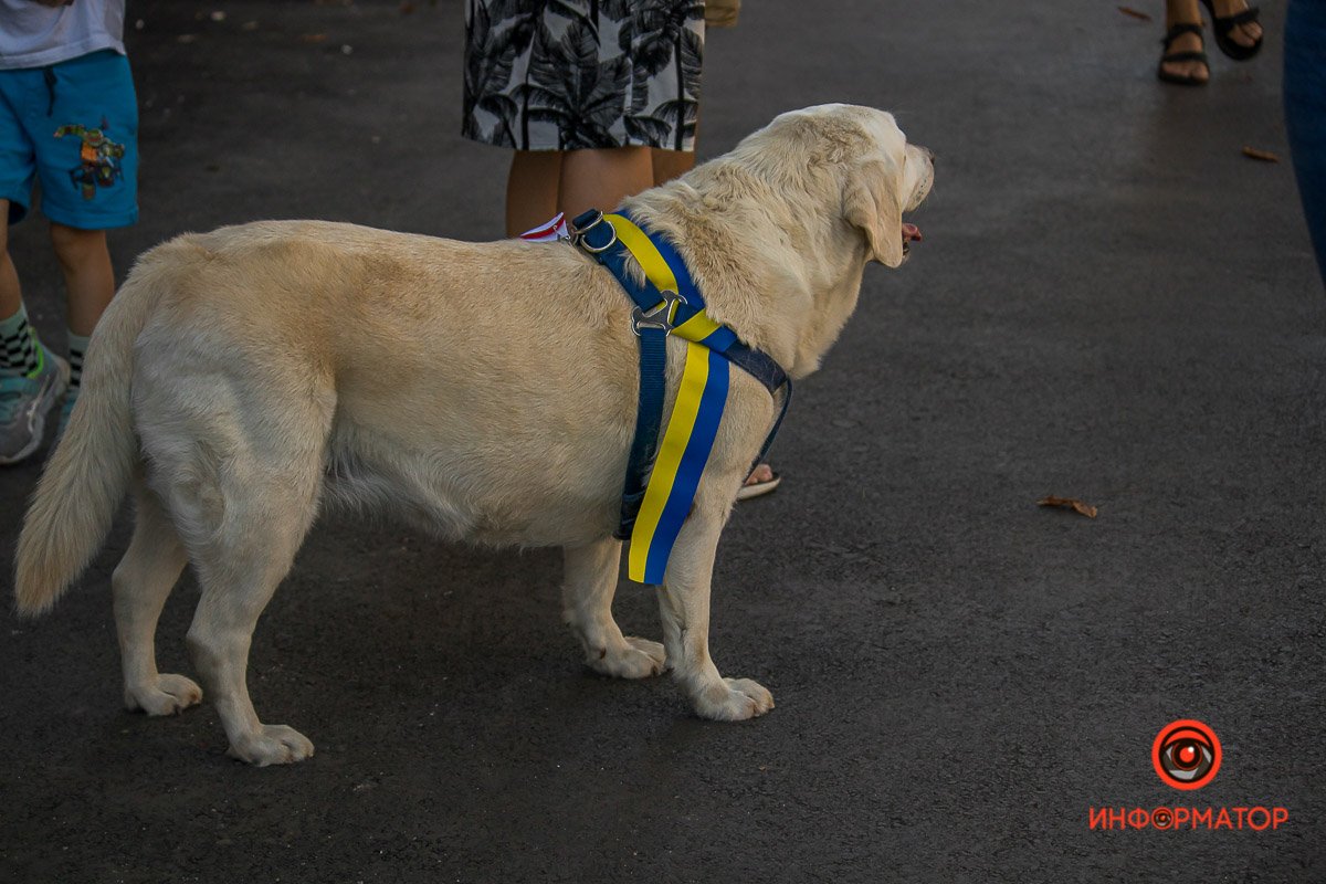 Хороший мальчик тоже празднует 