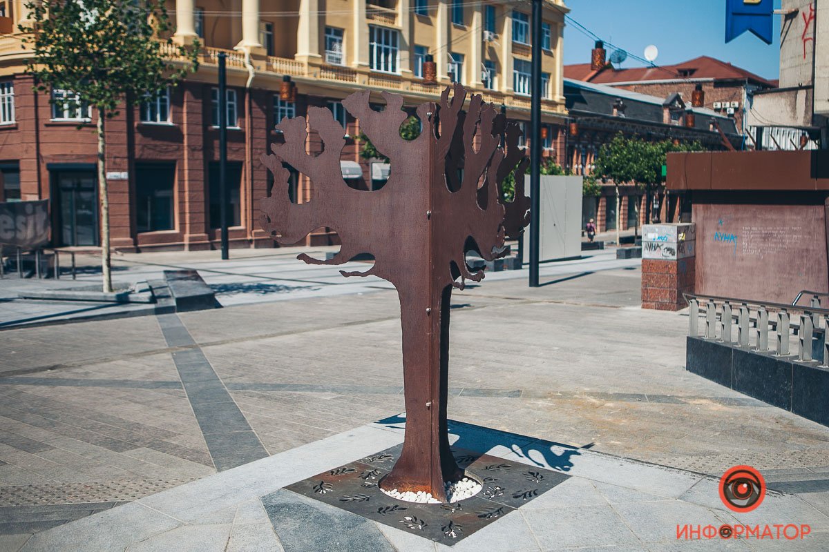 Высота дерева составляет примерно полтора метра Высота дерева составляет примерно полтора метра