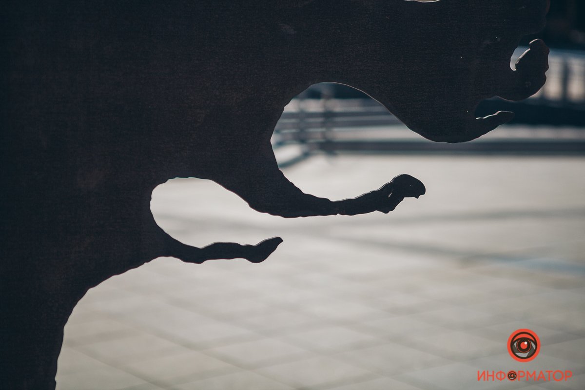 Фото: Глеб Пархомец Фото: Глеб Пархомец