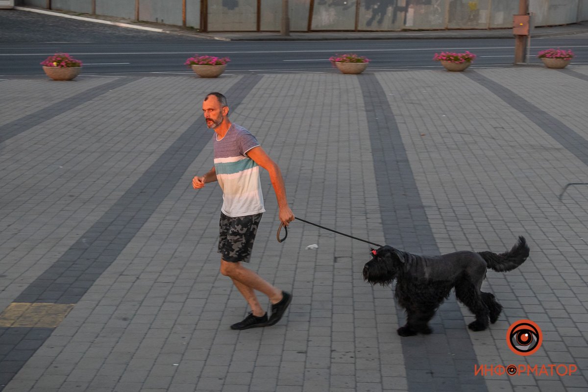 Утренняя прогулка