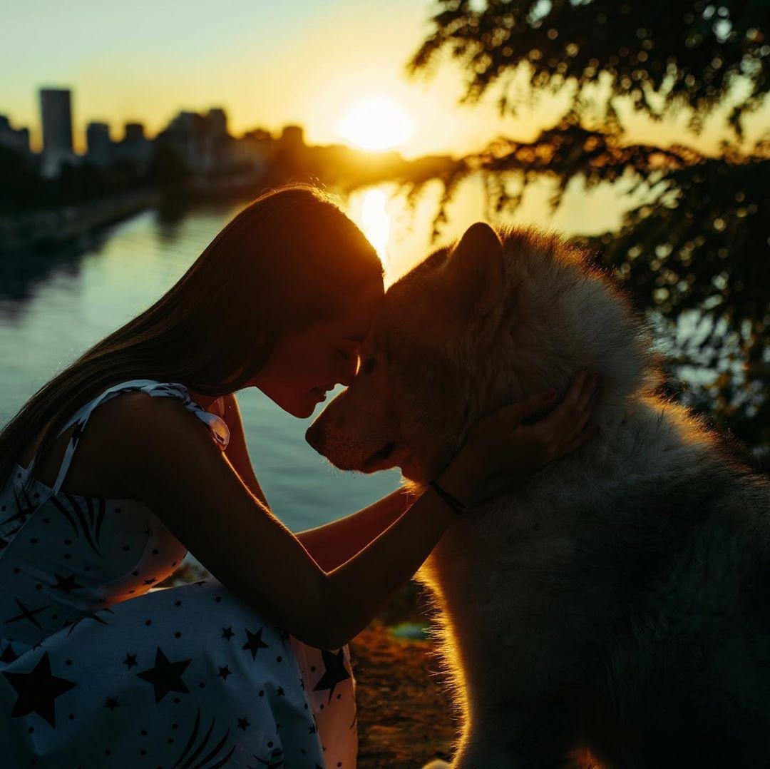 stasgubkin stasgubkin