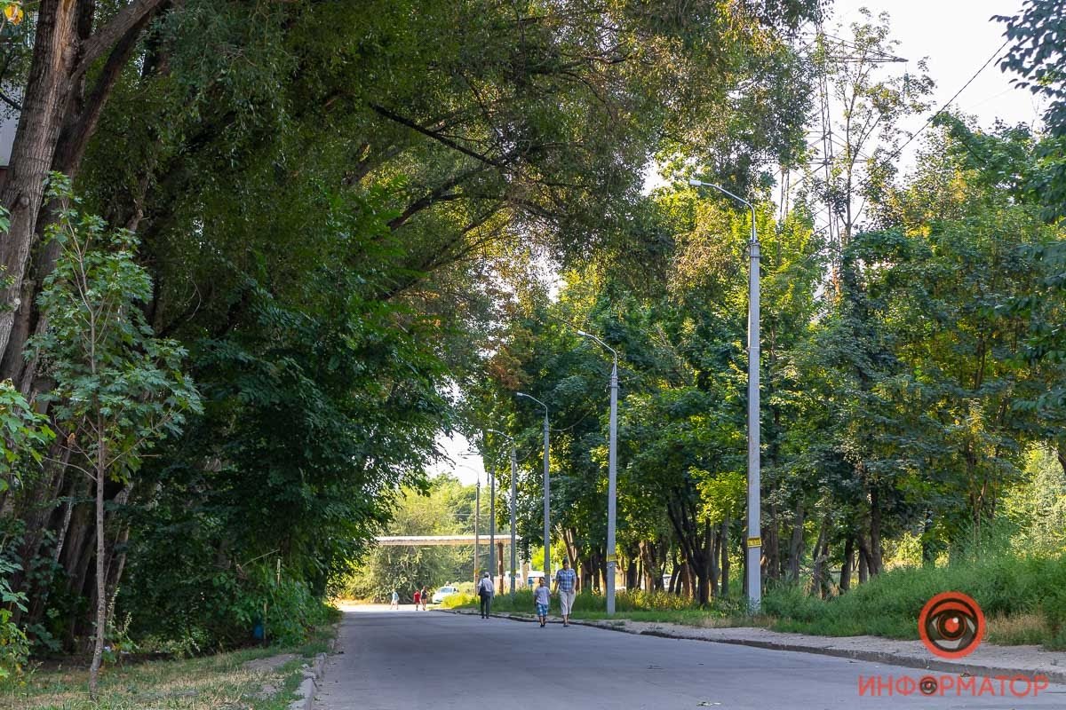 Выборы в Днепре: Евгений Кривошеев и чудо на 12 квартале 7