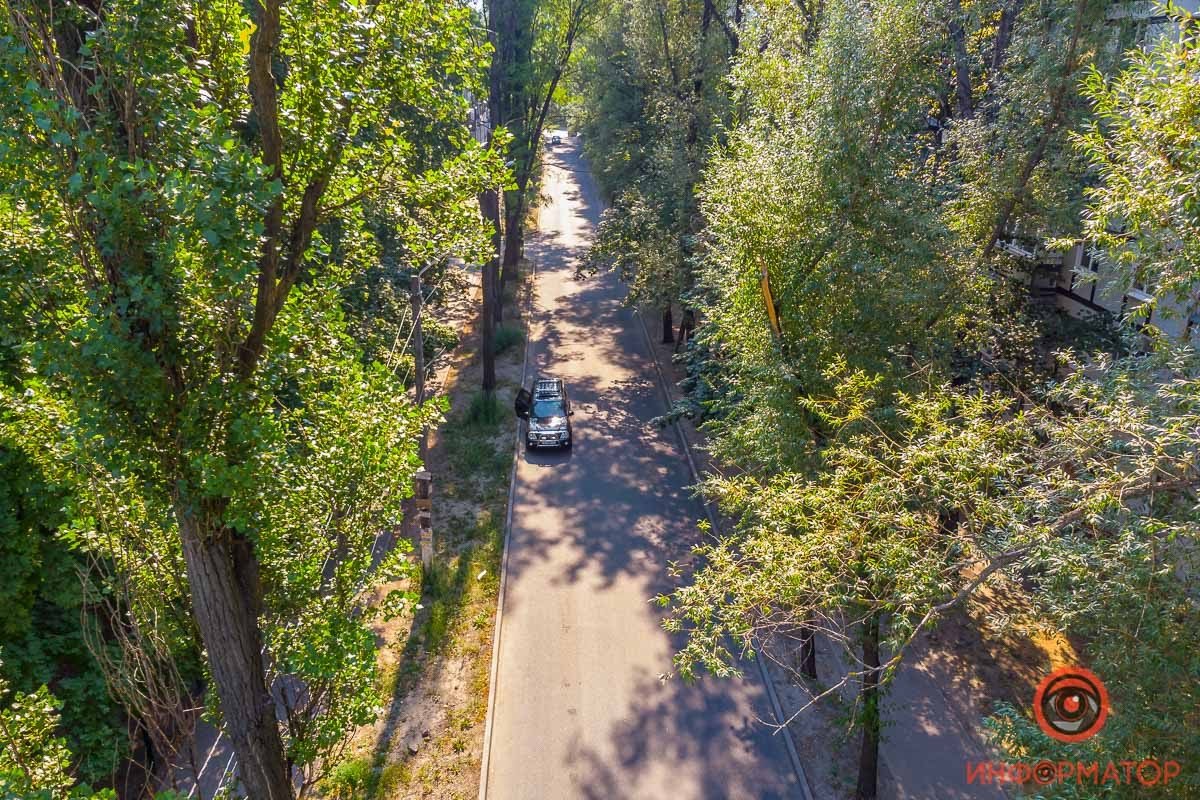 Выборы в Днепре: Евгений Кривошеев и чудо на 12 квартале 13