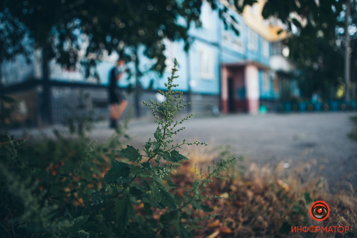 О причинах ненавидеть лето: О причинах ненавидеть лето: