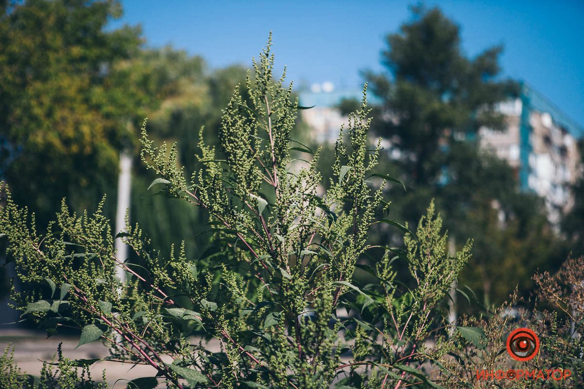 Жизнь - боль Жизнь - боль