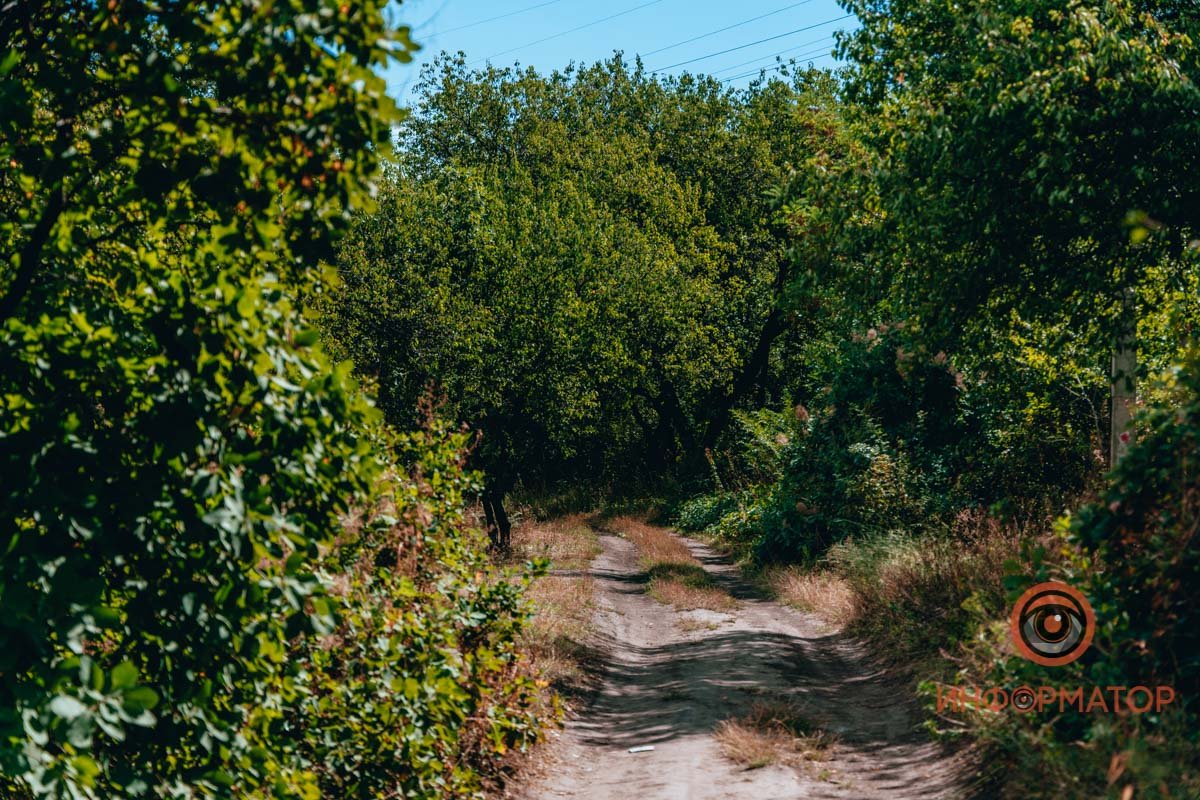 Поскорей бы, что ли, пришла зима