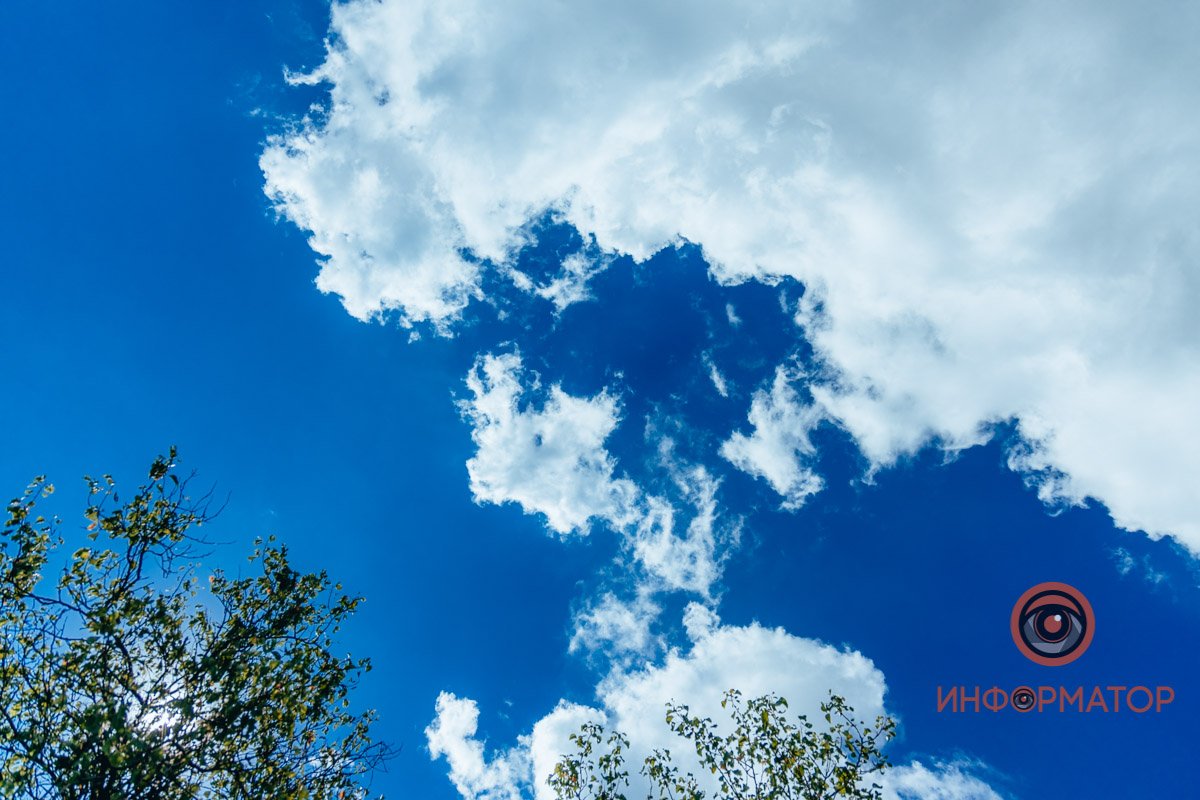 и занесла всё это — 