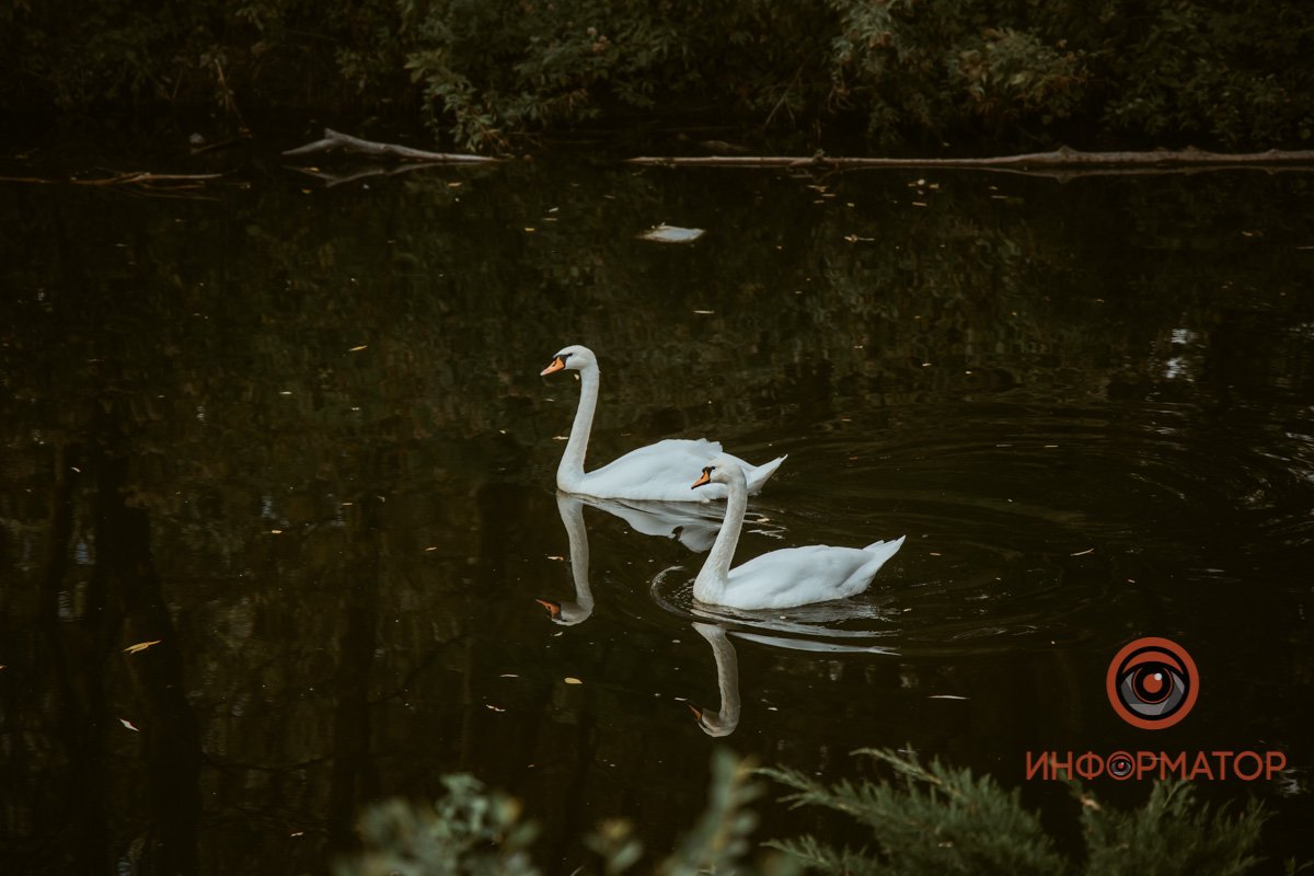 или читать с любого 