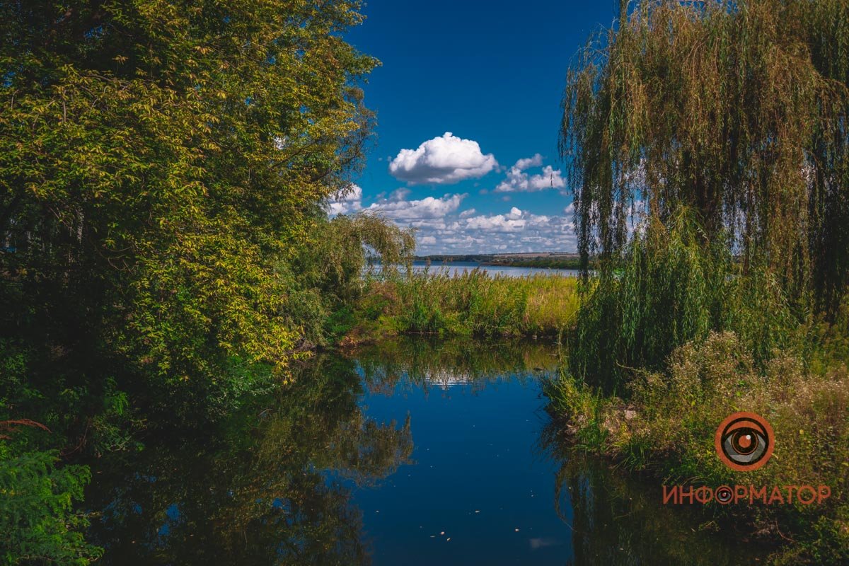 покамест остатки года,