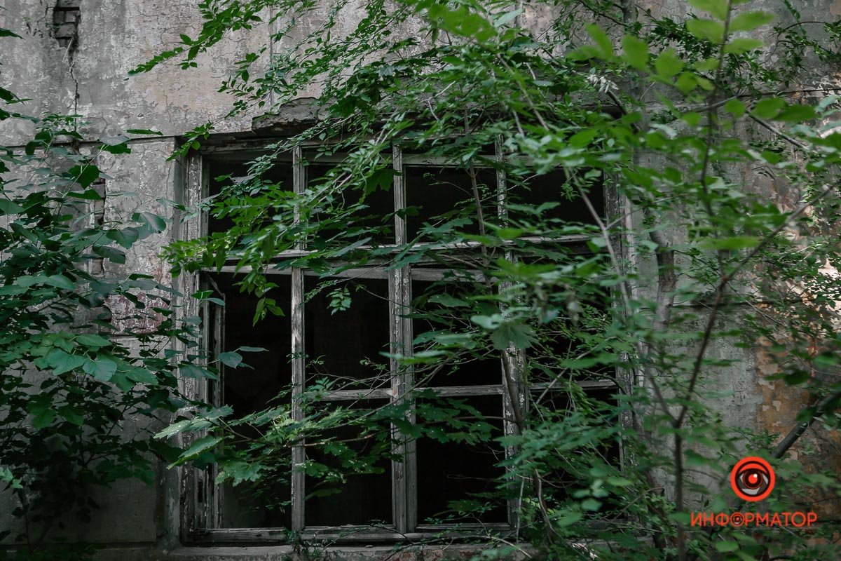 Все заросло  Все заросло