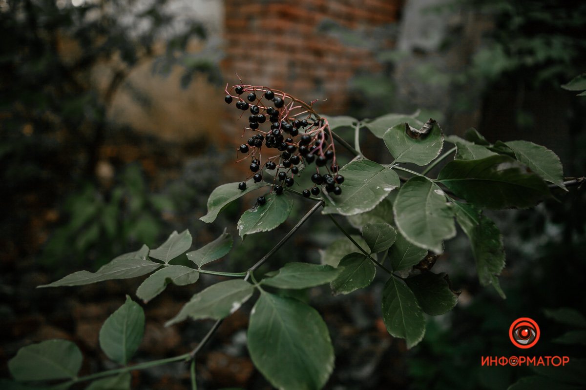 Немного прекрасного  Немного прекрасного