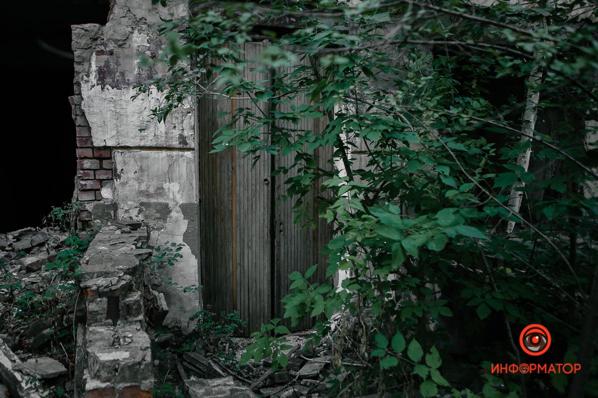 Природа берет свое  Природа берет свое