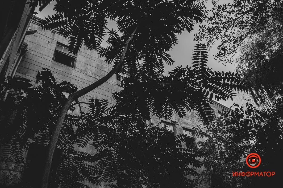 Джунгли Джунгли