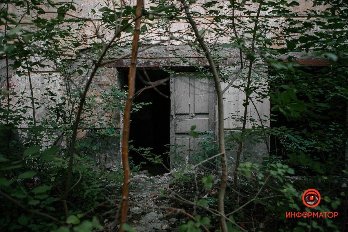 Тут не рады гостям Тут не рады гостям