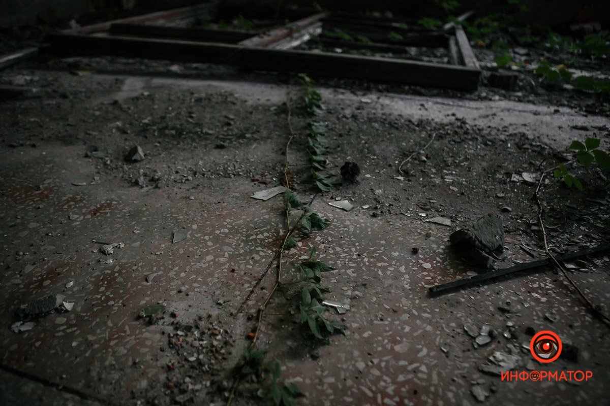 Природа пробивается Природа пробивается