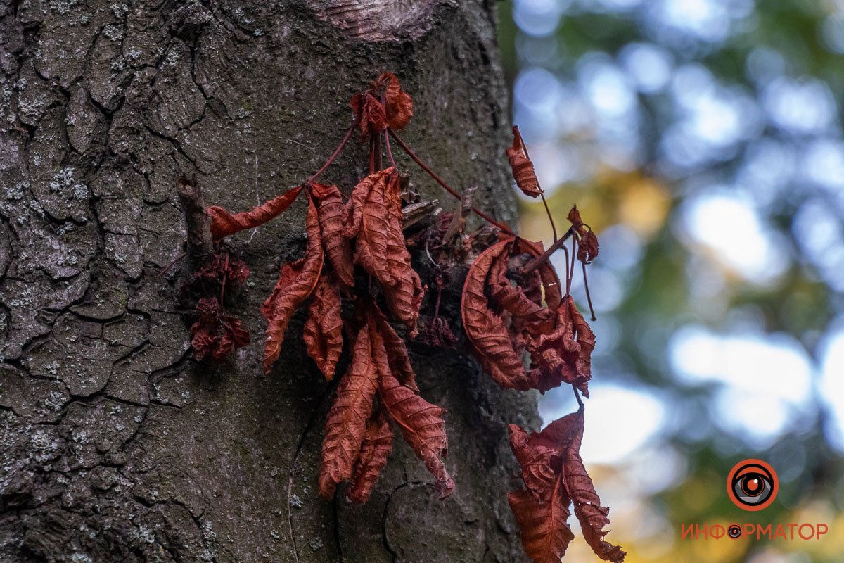 Приглядитесь к деталям Приглядитесь к деталям