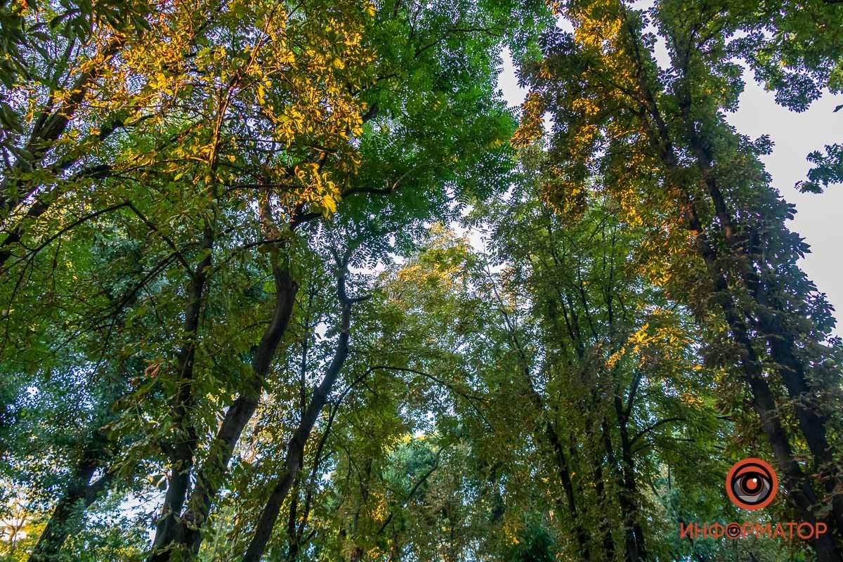 В ожидании осени В ожидании осени