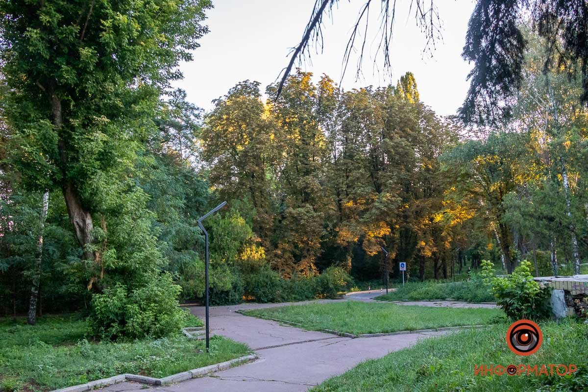 Скоро парк заполонят студенты Скоро парк заполонят студенты