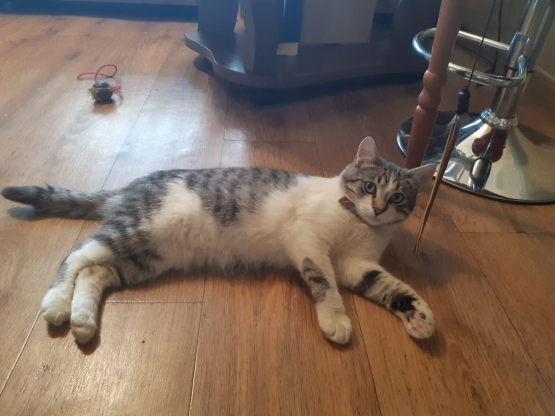 Загадочный Элвис