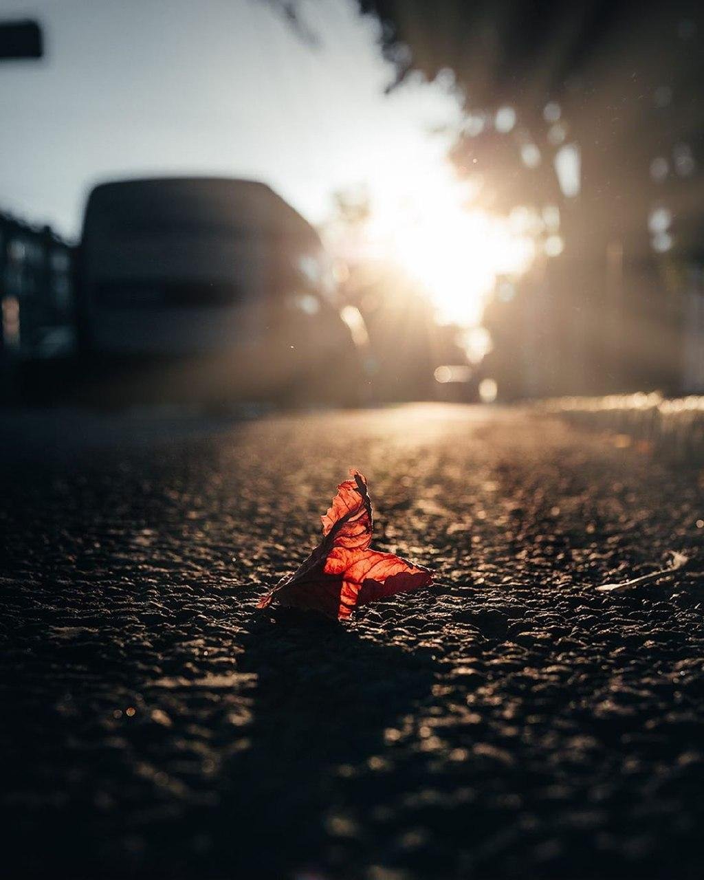 Фото: @artemlazarev_ph Фото: @artemlazarev_ph