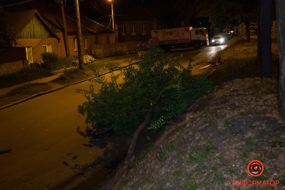 Водитель выехал на обочину, снес дерево и дорожный знак Водитель выехал на обочину, снес дерево и дорожный знак