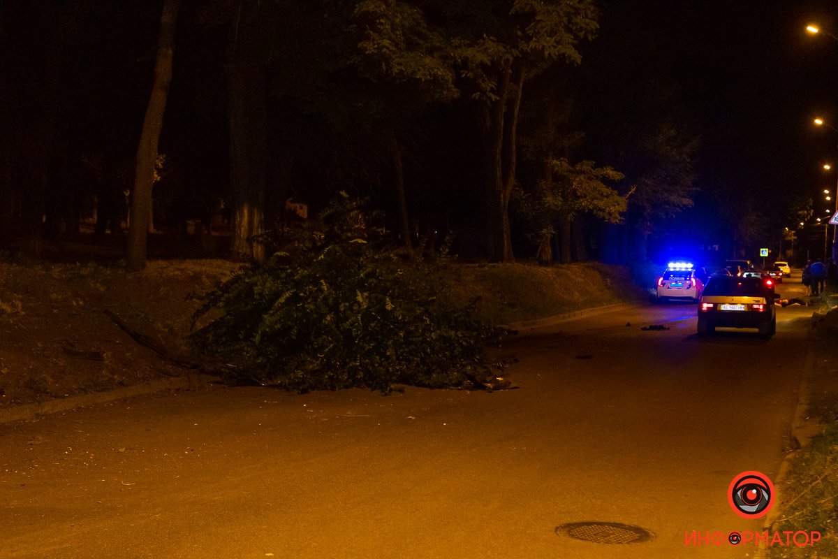 Очевидцы рассказали, что водитель легковушки двигался со скоростью около 150 км/час Очевидцы рассказали, что водитель легковушки двигался со скоростью около 150 км/час