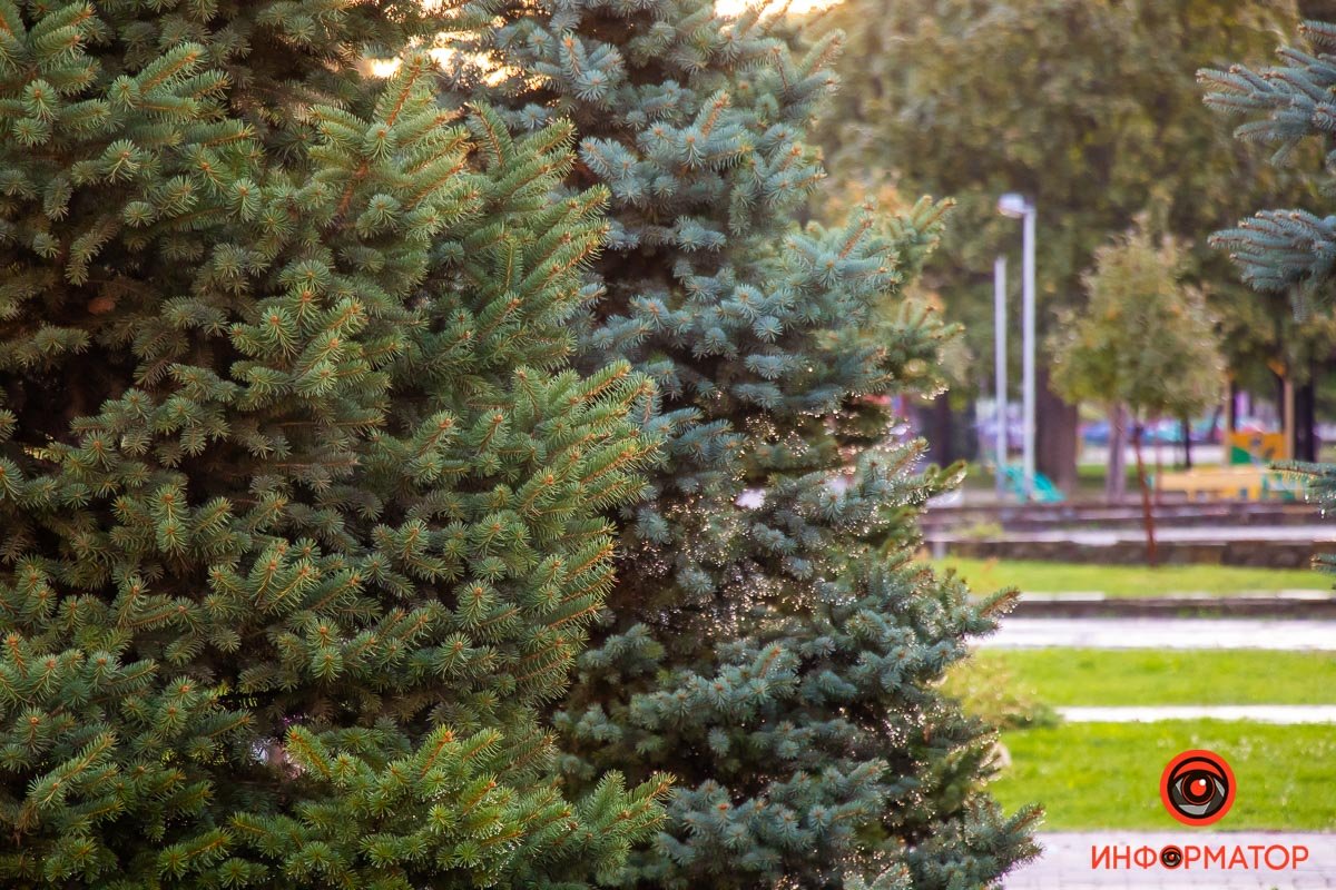 Безлюдный бульвар Безлюдный бульвар