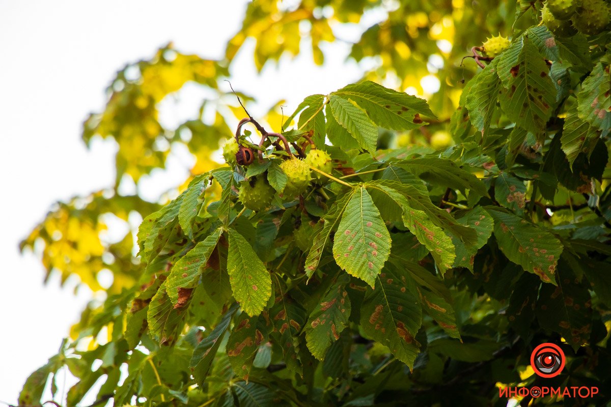 Солнца становится все больше Солнца становится все больше