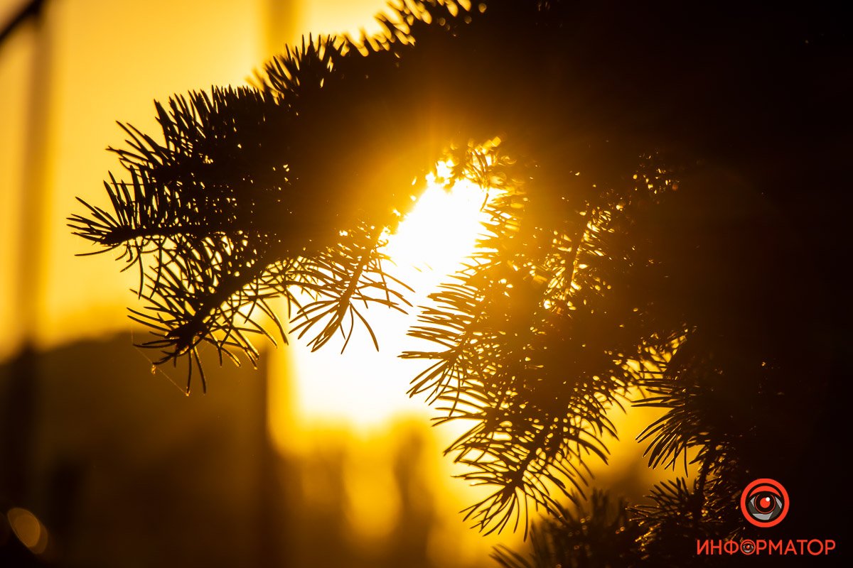 Вездесущее золото Вездесущее золото