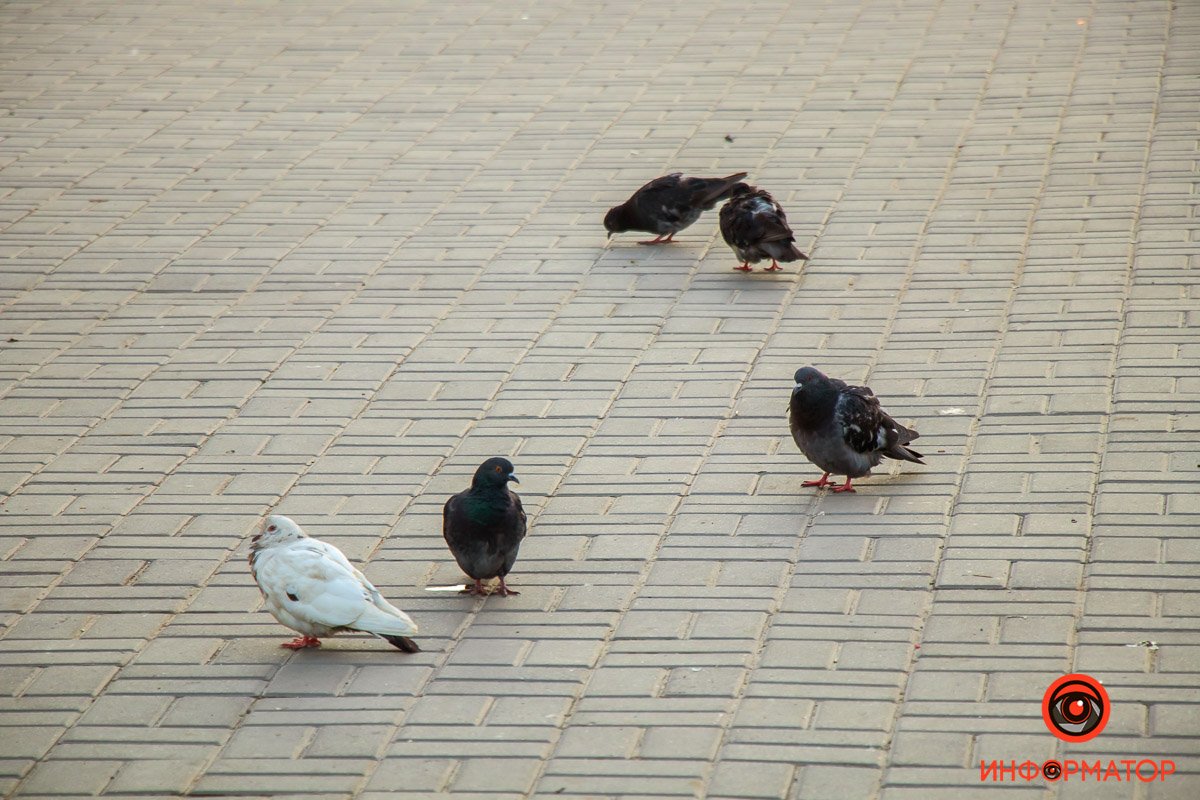 Когда завтрак? Когда завтрак?