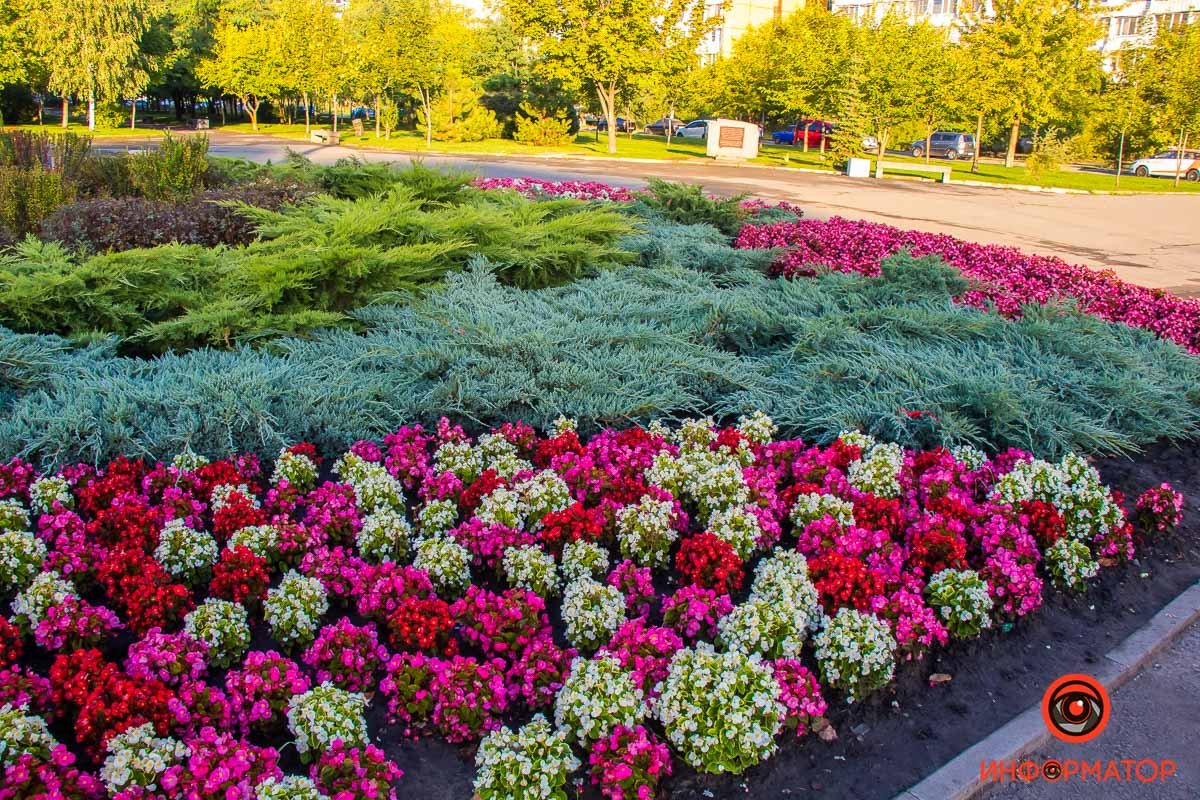 Ловите каждый момент августа Ловите каждый момент августа