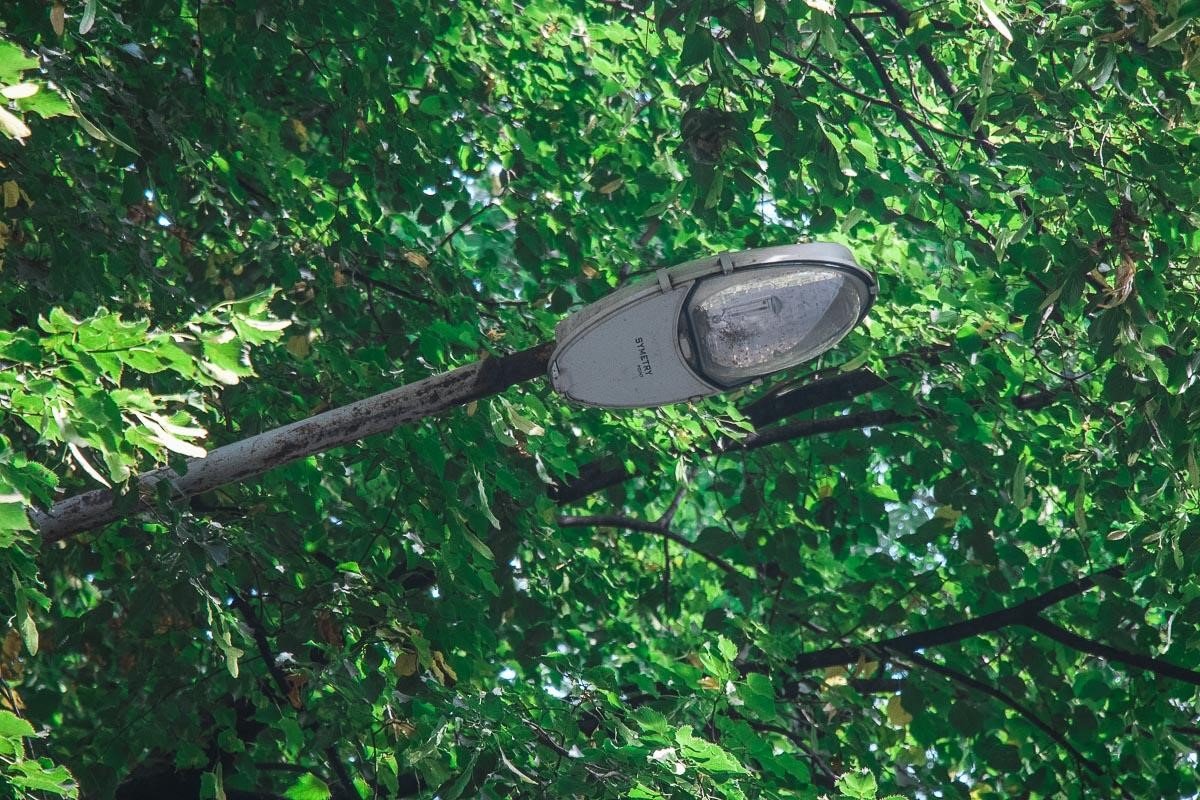 Выборы в Днепре: Александр Турчин 13