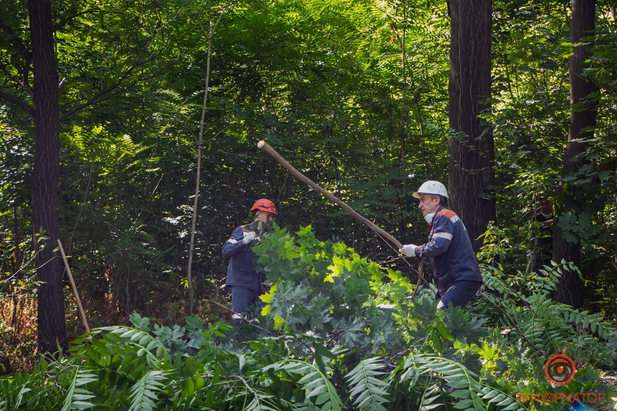 Митинг против субботника в Днепре: кто кого? 1