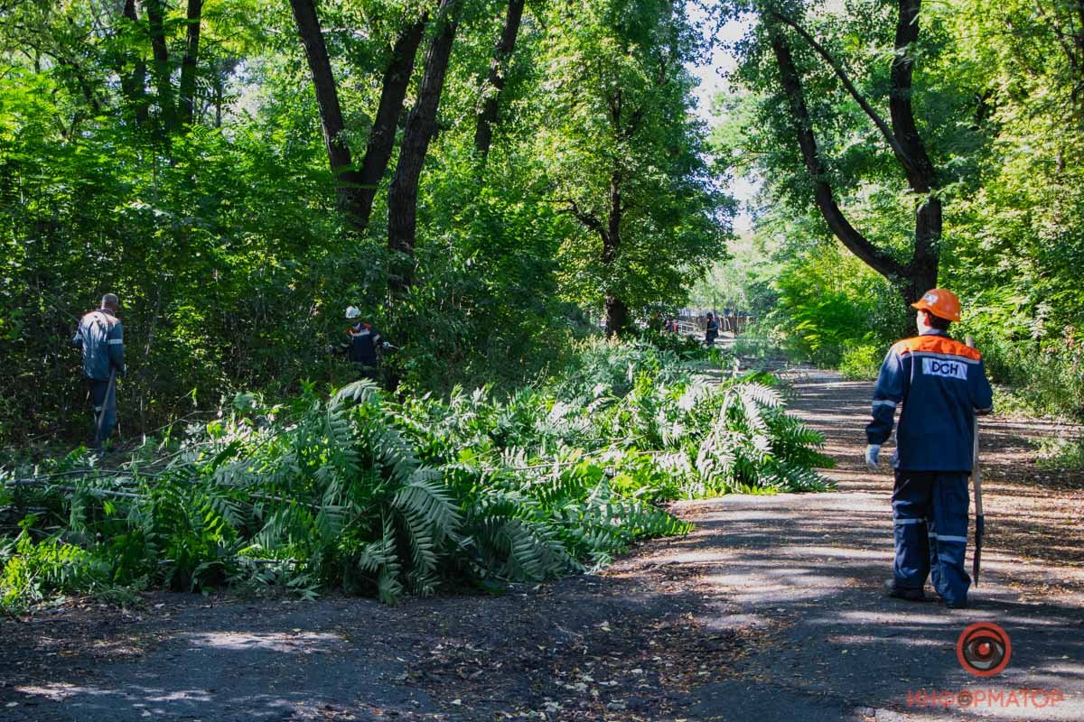 Митинг против субботника в Днепре: кто кого? 7